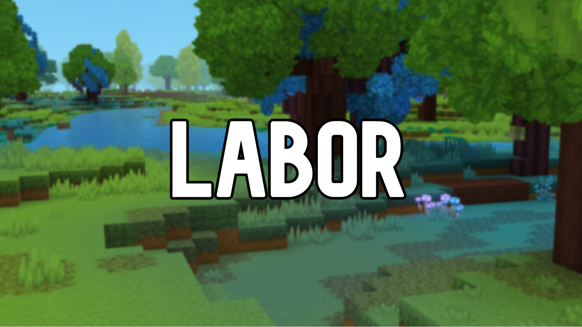 Labor